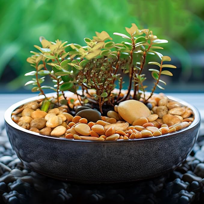 2 LBS River Rocks, StoneCreek, Decorative Garden Stones for Plant Landscaping, Polished Gravel Filler Pebbles for Home Decoration, Vases, Succulents, Flower Beds and Fish Tanks (Pale Yellow, Medium)