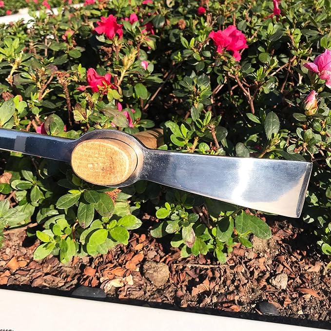 Pick Axe, Stainless Steel Rock Pick Pickaxes Mattock Hoe with Wooden Handle Pick Axe Hand Tool for Transplanting Planting Loosening Soil Prospecting