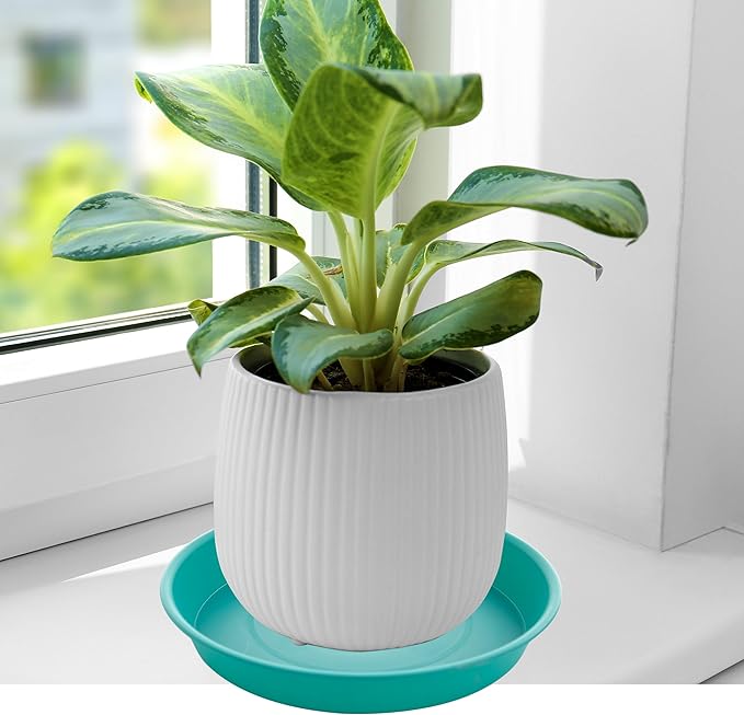 6 Pack Plastic Plant Saucer Water Drip Tray, 4 5 6 7 8 9 10 11 12 13 15 17 19 inch, Heavy Sturdy Plant Drainage Tray for Indoors Outdoor, Flower Saucers for Pots Base (4", Teal)