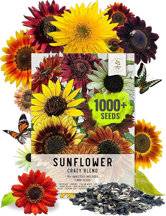 Seed Needs Sunflower Seeds for Planting The Original Crazy Blend | 1 Ounce 15+ Heirloom Varieties Open Pollinated & Untreated | Resealable Bulk Package Multicolored Blooms Flower Seeds