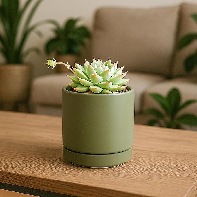 D'vine Dev Set of 4 Small Ceramic Plant Pots, 3.5 Inch Succulent Planter Pot for Plants with Drainage Hole and Saucer, Olive, 94-X-A-0