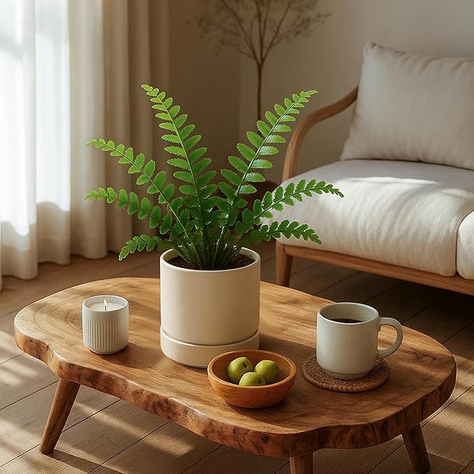 Phoenix Vine 6 Inch Planter Pot with Drainage Hole & Saucer, Deep Water Catch Tray, Straight Cylindrical Round Pot for Plants, Oatmeal, Pack of 2, 23-E-S-2