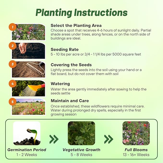 Outsidepride Partial Shade Wild Flower Seed Mix for All States - 5 lbs. Premium Blend of Annual & Perennial Wildflowers, Perfect for Partial Shade Areas, & Outdoor Planting for Gardens & Lawns