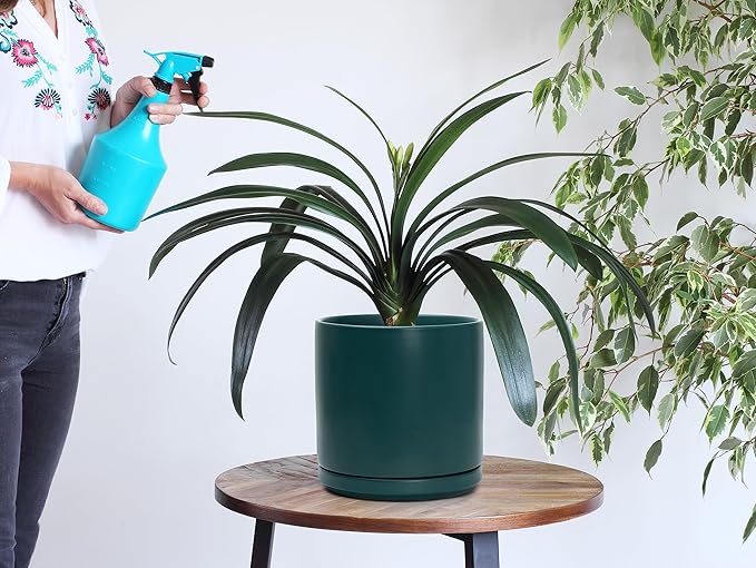 D'vine Dev 8 Inch Ceramic Planter Pot with Drainage Hole and Saucer, Indoor Cylinder Round Planter Pot, Teal, 94-O-D-9