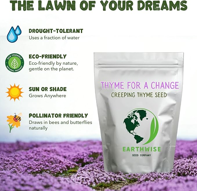 Thyme for a Change – Wild Creeping Thyme Seeds – 1 oz, Covers 500 sq ft (~16,000 Seeds) – Drought-Tolerant Ground Cover & Pollinator-Friendly Lawn Alternative (1oz)