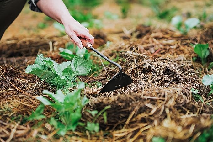Barebones Triangle Hoe - Stainless Steel Hoe - Japanese Gardening Tools for Weeding, Long Handle and Hand Hoe (Walnut/Black)