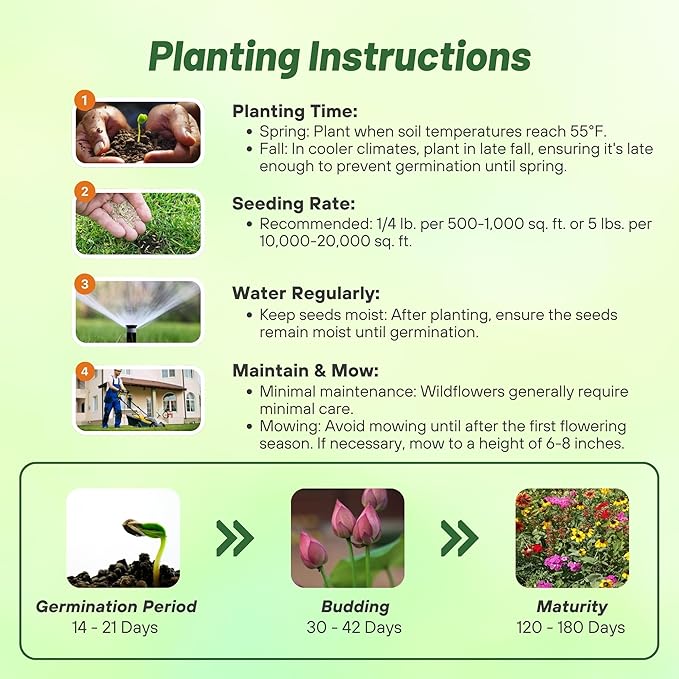 Outsidepride Southeast Wildflower Seed Mix - 5 lbs Highly Adaptable, Easy to Grow, Low-Maintenance Mix of Annual & Perennial Wildflower Seeds for Natural Landscapes in Southeastern States