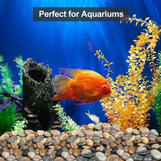 10Ib Mixed Rain Forest River Rocks for Landscaping-Polished Pebbles for Plants-Garden Decorative Stones-1-2 Large Plant Rocks,Ideal for Aquarium, Home Decor