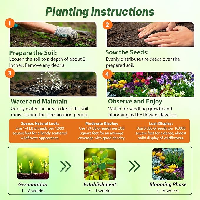 Outsidepride Birds & Butterfly Wild Flower Seed Mix - 1 Lb. Premium Blend of Annual & Perennial Wildflower Seeds for Attracting Songbirds, Hummingbirds, & Butterflies