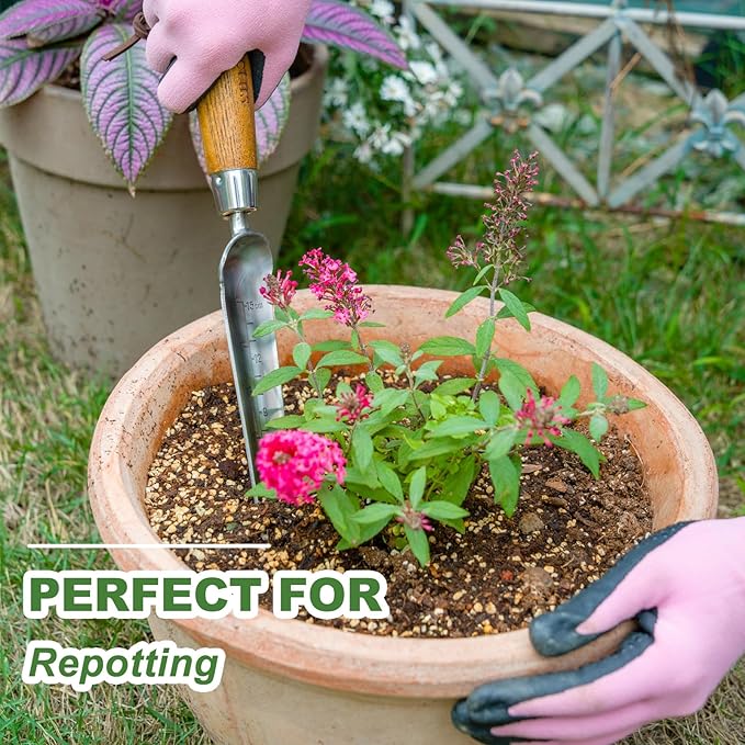 Haliaeetus Seeding Widger with 6'' Scale, Stainless Steel Planting Trowel for Repotting, Long and Narrow Widger for Weeding from Tight Areas, Hand Transplanter with Wood Handle for Planting, Digging