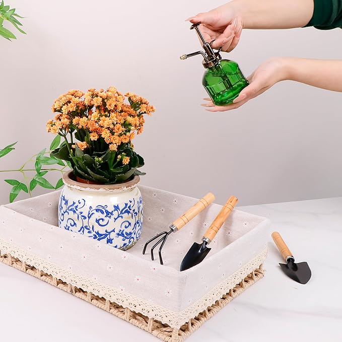 Vintage Ceramic Ice Crack Flower Pot with Drainage Holes, Country Rustic Planters for Indoor and Outdoor,Tuscan Decor,Home,Living Room, Garden Decor, Gardening Gift (Tropical)