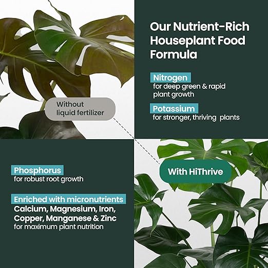 16oz Houseplant Fertilizer, All Purpose Indoor Plant Food - Makes 87+ Gallons, Plant Food for Houseplants - Fiddle Leaf Fig Tree, Pothos & More, 6-2-4 NPK, Concentrated Fertilizer for Indoor Plants