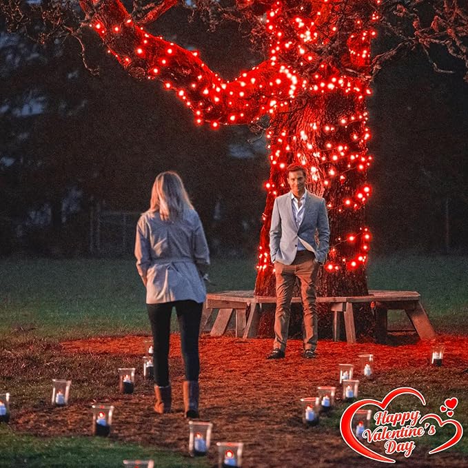 100FT 300 LED Christmas Lights Outdoor, Plug in Christmas Tree Lights with 8 Modes Waterproof, Plug in Green Wire String Twinkle Lights for Indoor Patio Wedding Party Decorations, Red