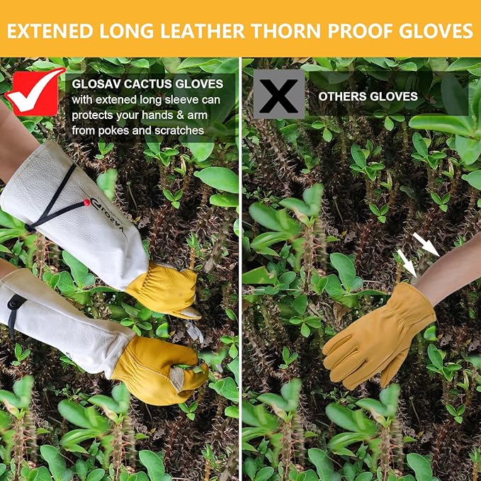 Cactus Gloves, Thorn Proof Gardening Gloves for Rose Pruning & Cacti Handling (Medium (Pack of 1), Yellow-reinforce)