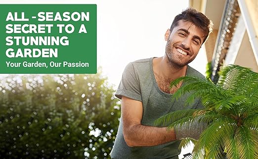 8-4-8 Professional Palm Tree Fertilizer Plant Food; for Indoor Potted Plants and Outdoor Landscape Palm Trees; Quick-Release Nitrogen Fertilizer and Continuous Feeding (1/2 Quart)