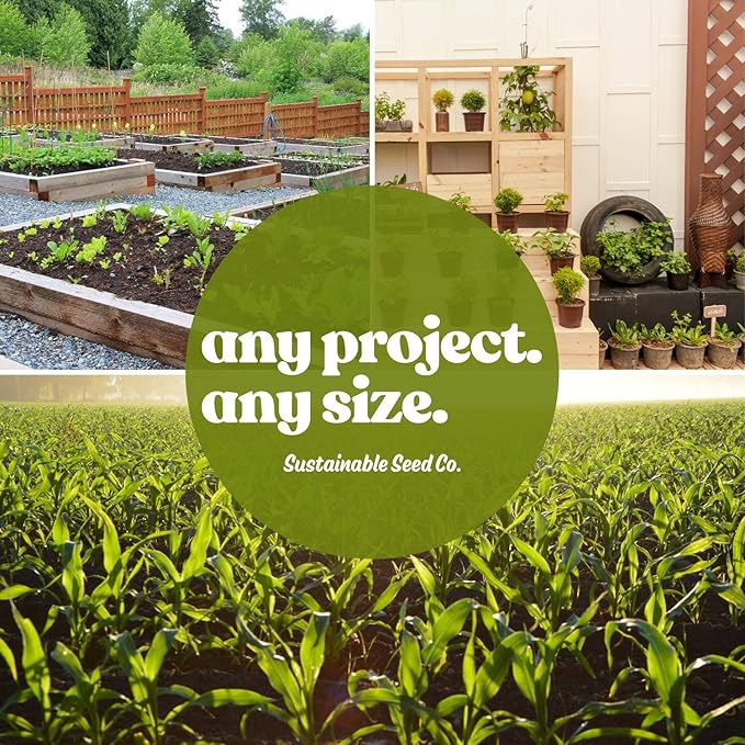 Meadow Mix Wildflower Seeds 4Oz – 26 Annual & Perennial Varieties for Pollinators—Bee Friendly, Non-GMO, Bulk Sizes – California Poppy, Black-Eyed Susan, Sweet William—Zones 2-9