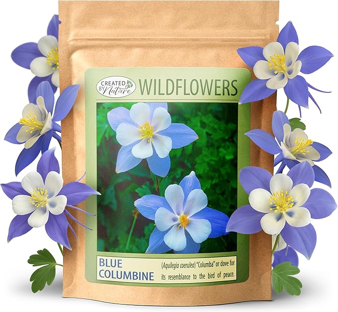 Created By Nature Blue Columbine Flower Seeds, 2,400 Perennial Seeds, Colorado State Flower
