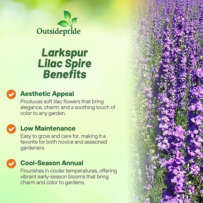 Outsidepride Delphinium Lilac Larkspur Seeds for Planting Outdoors - 2000 Pcs Annual, Self-Seeding, Heat & Drought Tolerant Wildflower Seed, Colorful Blooms for Flower Arrangement & Pollinator Garden
