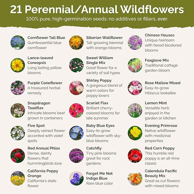 Eden Brothers Partial Shade Wildflower Mixed Seeds for Planting, 25 lb, 12,000,000+ Seeds with Sweet William, Foxglove | Attracts Pollinators, Plant in Spring or Fall, Zones 3, 4, 5, 6, 7, 8, 9, 10