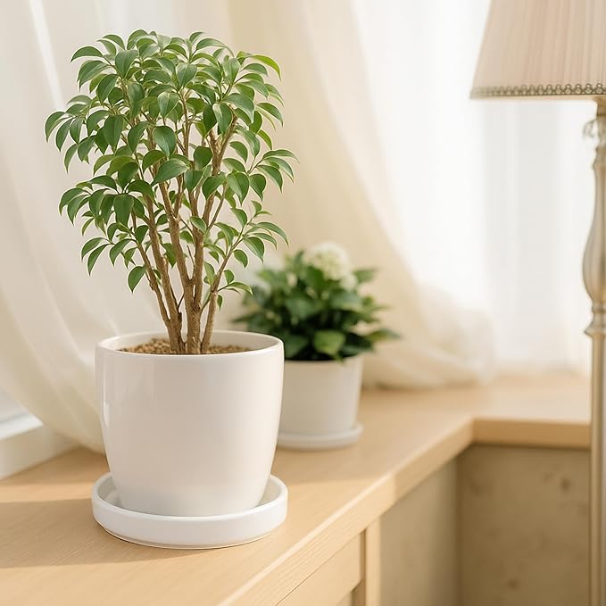 D'vine Dev Modern Round 5.4 Inch Ceramic Plant Pot Saucer, Planter Pot Drainage Tray for Indoor Plants, Set of 2, Matte White, 97-T-A-22