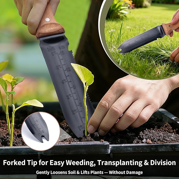YANG Hori Hori Garden Knife, 7" Stainless Steel Gardening Knife with Oxford Cloth Sheath, Full Tang Beechwood Handle EDC Garden Tool for Dividing Plants & Weeding, Forked Tip for Transplanting
