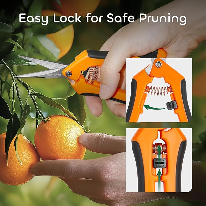 GROWNEER 6 Packs Pruning Shears Gardening Hand Pruning Snips with Straight Stainless Steel Precision Blades