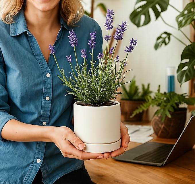 D'vine Dev 4 Inch & 6 Inch & 8 Inch, Set of 3 Round Ceramic Planter Pot with Drainage Hole and Saucer, White, 94-T-M-1