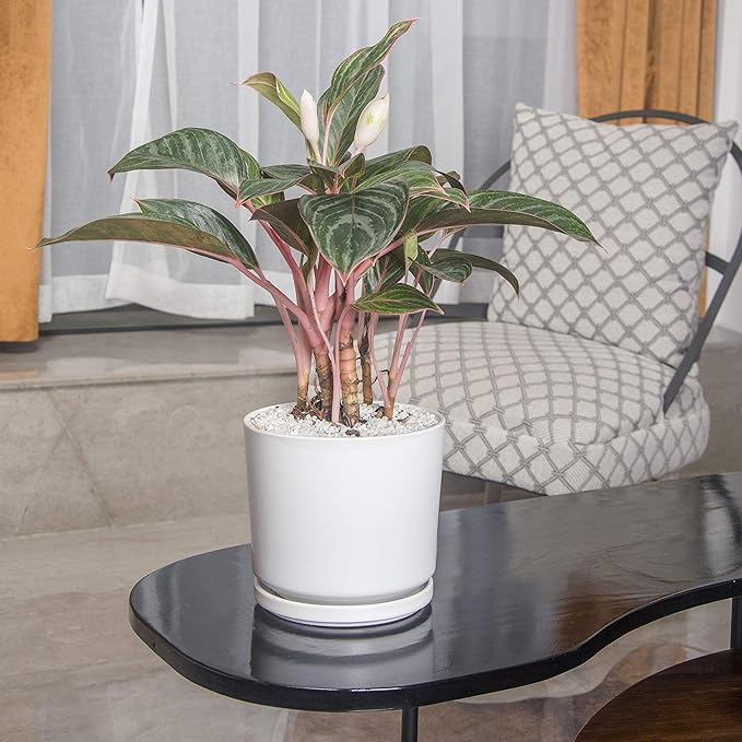 Ekirlin 7 inch Plant Pots,Ceramic Flower Planters Indoor,Modern Succulents Containers with Drain Hole Saucer,Decorate Home,Office & Outdoor (White)