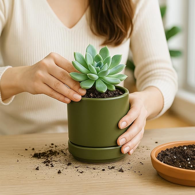 D'vine Dev Set of 4 Small Ceramic Plant Pots, 4.6 Inch Succulent Planter Pot for Plants with Drainage Hole and Saucer, Olive, 94-X-B-0