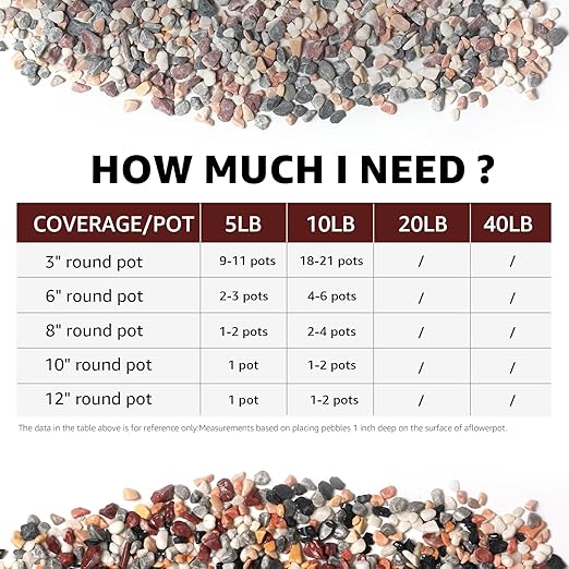 10lbs Natural Gravel Pebbles for Succulents and Cacti, 1/5 Inch Decorative River Stones – Perfect for Vases, Aquariums, Terrariums, and Outdoor Gardening, Mixed Colors (Mixed, 10 Pounds)