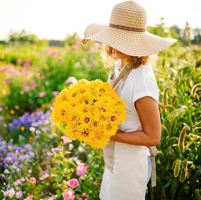 Eden Brothers Zinnia Seeds - Super Cactus Sungod, Non-GMO Seeds for Planting, 1 oz | Low-Maintenance Flower Seeds, Plant During Spring, Zones 3, 4, 5, 6, 7, 8, 9, 10