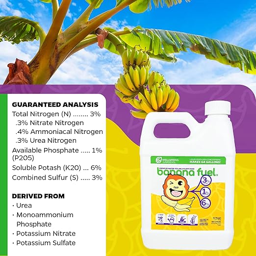 Wellspring Gardens Banana Fuel Liquid Fertilizer - Plant Fertilizer Concentrate - Plant Food - Formula for Banana Trees & Plants - Grow Healthy and Happy Plants - 32 fl oz