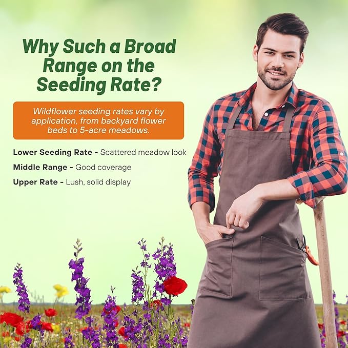 Outsidepride Partial Shade Wild Flower Seed Mix for All States - 1 lb. Premium Blend of Annual & Perennial Wildflowers, Perfect for Partial Shade Areas, & Outdoor Planting for Gardens & Lawns