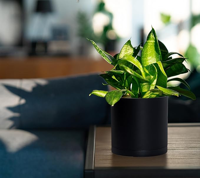 D'vine Dev 2 Pack 5.5 Inch Modern Plastic Plant Pots, Small Garden Planters for Plant with Drainage Holes and Saucers, Black Color, 74-Y-H-1