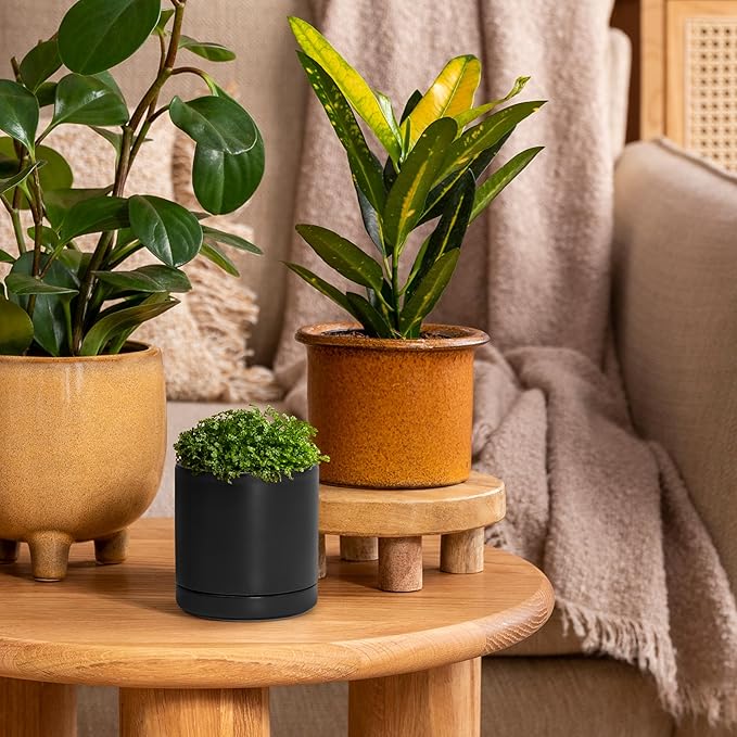 D'vine Dev Set of 3 Plants Pots, 3.5 Inch Ceramic Planter Pot for Plants with Drainage Hole and Saucer, Black, 94-N-A-2