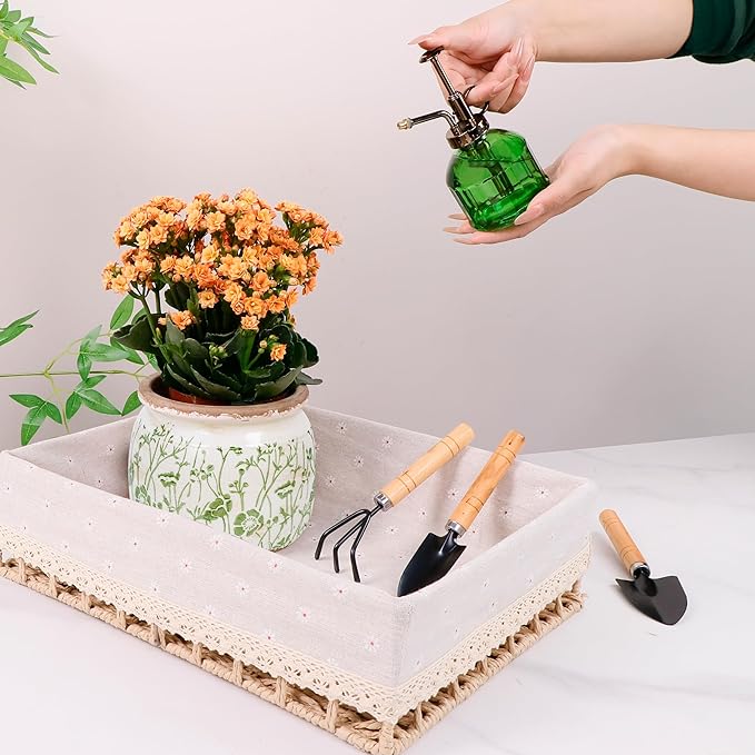 Vintage Ceramic Ice Crack Flower Pot with Drainage Holes, Country Rustic Planters for Indoor and Outdoor,Tuscan Decor,Home,Living Room, Garden Decor, Gardening Gift (Asian)