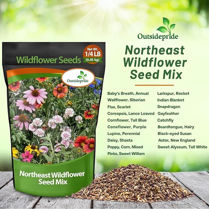 Outsidepride Northeast Wild Flower Seed Mix - 1/4 lbs Premium Blend of Vibrant Biennial & Annual Wildflower Seeds for Northeastern States, Ideal for Meadows, Borders, Gardens, & Attracting Pollinators