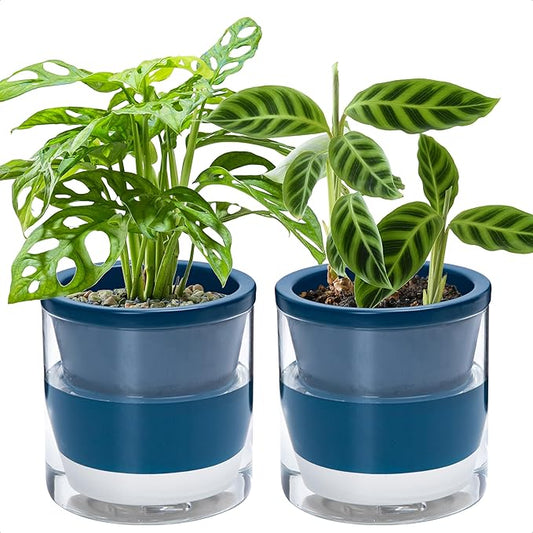 D'vine Dev 6 Inch Design Self Watering Planter for Indoor Plants, Blue Terracotta Pot with Cylinder Glass Cup, Set of 2, 37-Y-B-4
