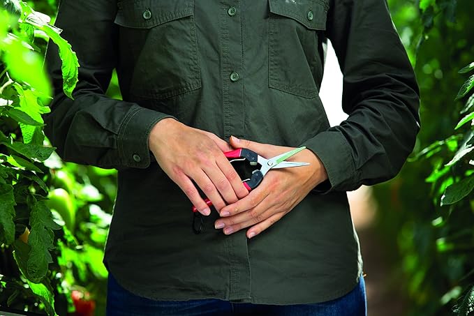 Felco F322 Pruning Snips – 9.84" Swiss-Made Garden Clippers with Curved Blade & Rounded Tip | Pruning Shears for Gardening | Garden Snips and Pruners with Carbon Steel Blade, Sap Groove