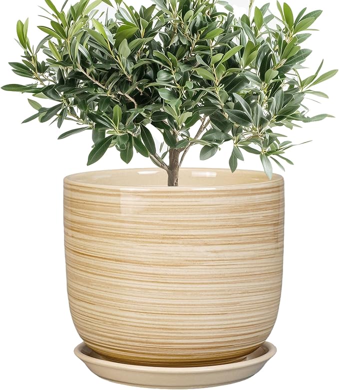 Indoor Plant Pot 8 Inch - Cylinder Modern Ceramic Planter for Indoor Outdoor Plants with Drainage Hole and Saucer, House Office Home Room Desk Decor, Yellow