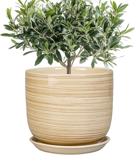 Indoor Plant Pot 8 Inch - Cylinder Modern Ceramic Planter for Indoor Outdoor Plants with Drainage Hole and Saucer, House Office Home Room Desk Decor, Yellow