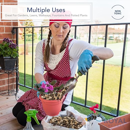 Royal Imports 5LBS River Rocks Decorative Ornamental Pebbles, Garden Landscaping Stones, Gravel Filler for Plants, Vases, Succulents, Home Decor, Aquariums, Crafting, Animal Habitat - Large Light