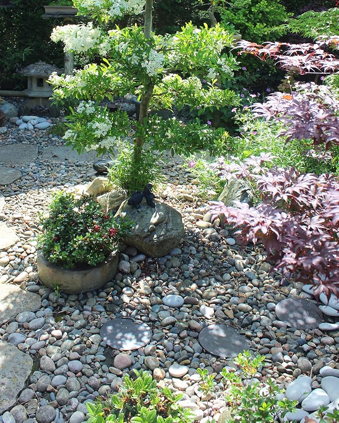 Natural River Rocks-5 lbs of Pebbles and River Stones,1-2 Inch Plant Rocks for Landscaping,Garden Paving,Crafting,Walkways,and Outdoor Decorative Stone,Mexican Beach River Rocks