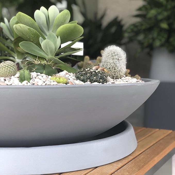 Crescent Garden Universal Round Planter Saucer, Durable Drainage Dish for Plant Pots, Heavy-Duty Plant Dishes Saucer, Indoor & Outdoor Plant Trays - Parchment (8 inch Inner, 11 inch Outer Diameter)