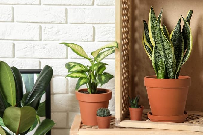 D'vine Dev Set of 4 Small Clay Planters, 3 Inch 4.5 Inch 5 Inch 6 Inch Terracotta Plant Pots with Drainage Hole and Saucers for Indoor Plants, 588-57-1