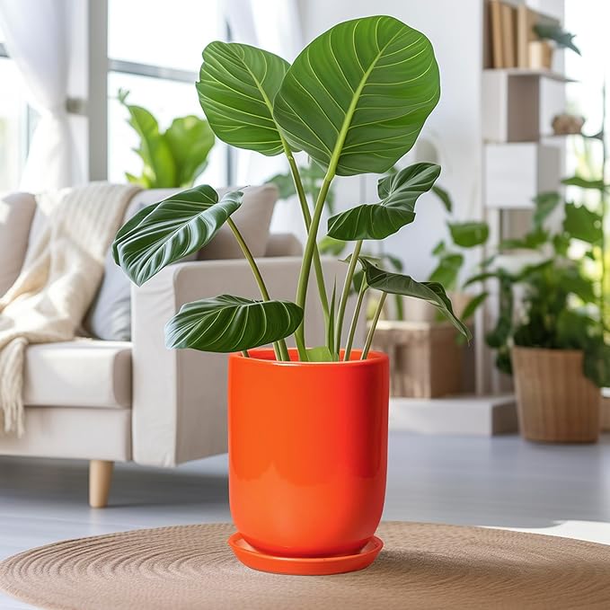 Ceramic Planter - 8 Inch Plant Pot with Drainage Hole and Saucer, Cylinder Round Modern Flower Pot for Indoor Outdoor Plants, Plant Lover Gifts, Garden Office Home Decor, Orange
