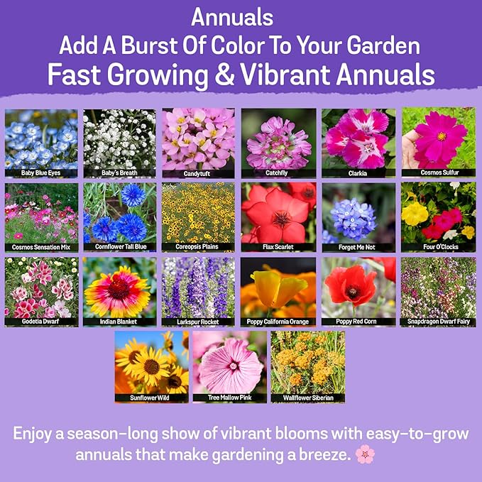 NatureZ Edge Wildflower Seeds Mix – 1/4 lb, 170,000 Seeds, 35 Variety Perennial & Annual Flower Seeds to Plant Outside, Bulk Wildflower Seeds, Wild Flower, Semillas de Flores