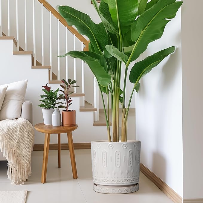 Plant Saucer for Indoors - Ceramic Plant Saucer for Outdoors 11.4 Inch Plant Water Catcher Tray Plant Pot Saucer Plant Drip Tray Drainage Large Plant Plates to Catch Water White