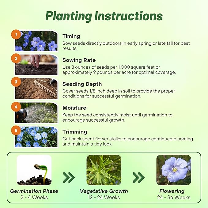 Outsidepride Blue Flax Seeds - 1 lb Perennial Flower Seeds for Planting, Self-Seeding, Drought-Tolerant w/Compact Growth, Ideal for Small Gardens, Meadows, Borders, or Mass Plantings