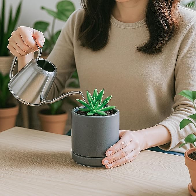 D'vine Dev Set of 3 Plants Pots, 3.5 Inch Ceramic Planter Pot for Plants with Drainage Hole and Saucer, Speckled Grey, 94-N-A-3